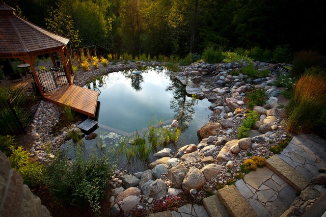 Natural Pond Pool